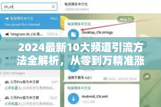 2024最新10大频道引流方法全解析，从零到万精准涨粉实战指南-第1张图片-TG官方版-支持端对端加密、云端同步和多设备登录