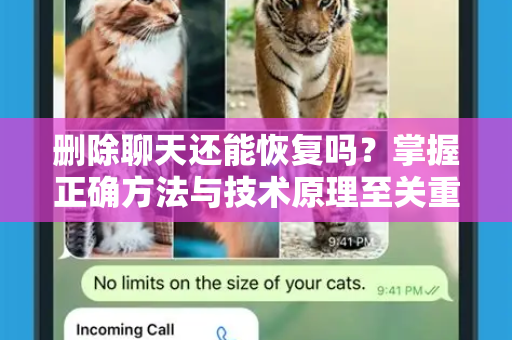 删除聊天还能恢复吗？掌握正确方法与技术原理至关重要-第1张图片-TG官方版-支持端对端加密、云端同步和多设备登录