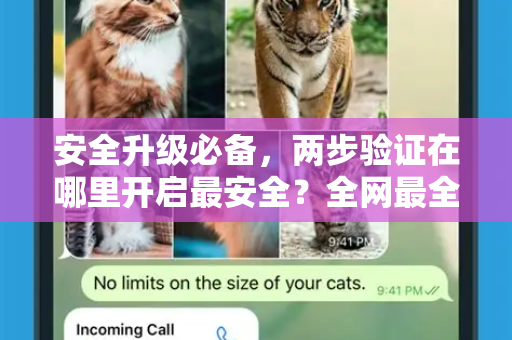 安全升级必备，两步验证在哪里开启最安全？全网最全指南