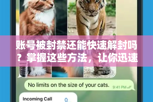 账号被封禁还能快速解封吗？掌握这些方法，让你迅速找回账号！