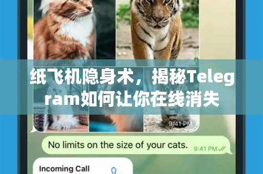 纸飞机隐身术，揭秘Telegram如何让你在线消失