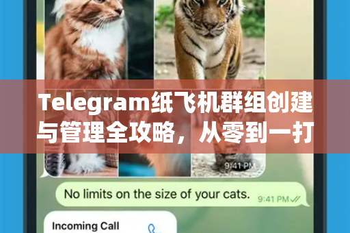 Telegram纸飞机群组创建与管理全攻略，从零到一打造专属社群