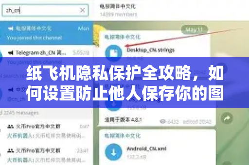 纸飞机隐私保护全攻略，如何设置防止他人保存你的图片？