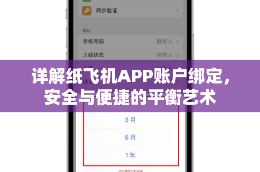 详解纸飞机APP账户绑定，安全与便捷的平衡艺术