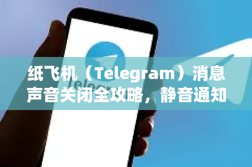 纸飞机（Telegram）消息声音关闭全攻略，静音通知与个性化设置指南