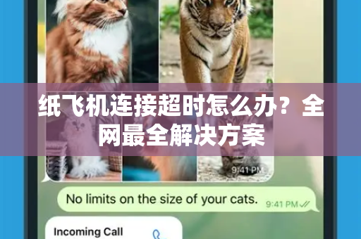 纸飞机连接超时怎么办？全网最全解决方案